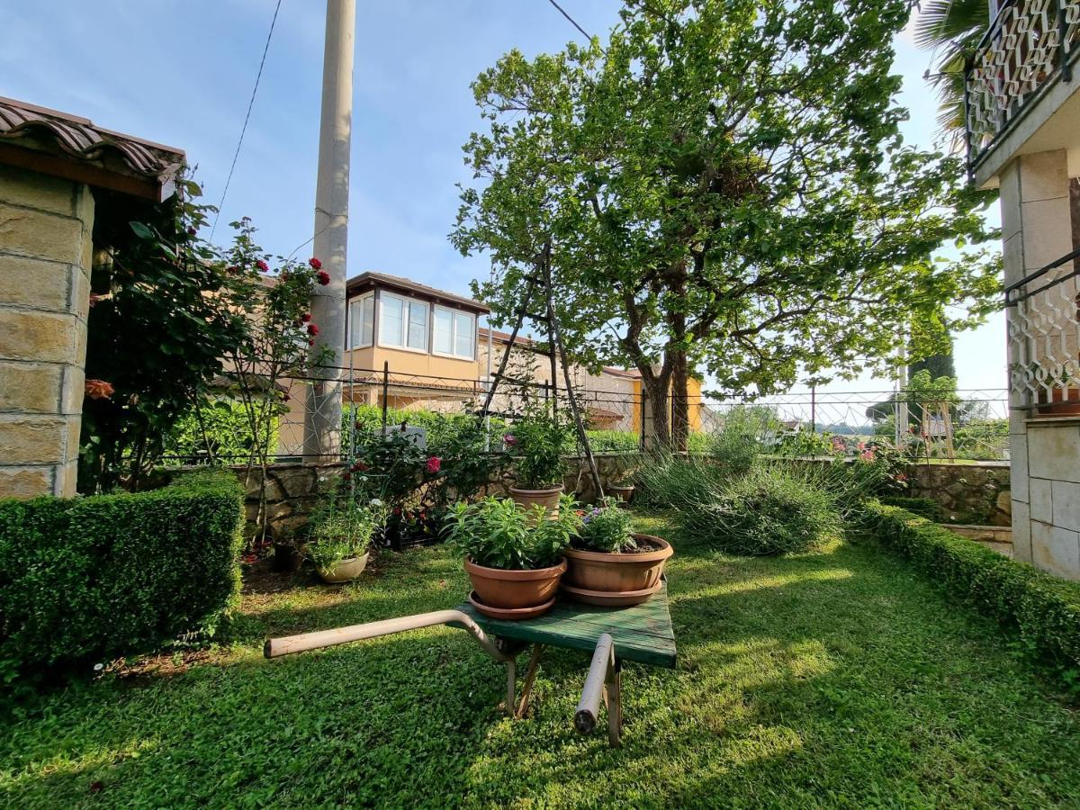 Felice Apartment Novigrad (Istria)